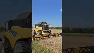 Уборка зерновых #агроном #farming #уборочная