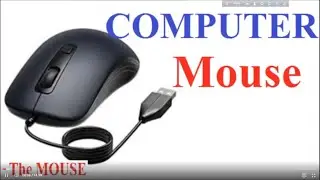 #COM3, The Mouse, The use of Computer mouse, কম্পিউটার মাউস এবং তার ব্যবহার, #ComputerBasics3