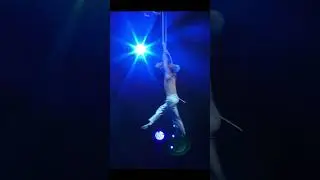 Antony Cesar - aerial act in Budapest capital circus  #circusvideo #circus