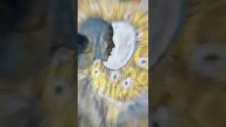#пасхальноеяйцо #источниксвета