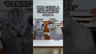 CAT MEMES 🐱 BRO GETS A GIRLFRIEND PT.8 #relatable #cat #relationship #catlover #shorts