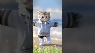 pet dance 🥰🥰 