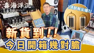 [毒海浮沉] 今日開箱幾對膽｜新貨到｜2024-11-04