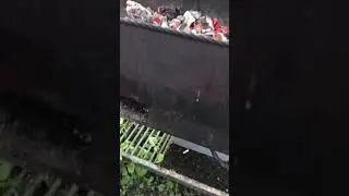 Готовим шашлыки, встреча тыжбанды, угли горят в воде 🔥