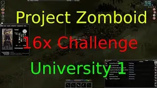 I gathered 7500 zombies to kill by honking a car over and over. Project Zomboid 16x Challenge 25