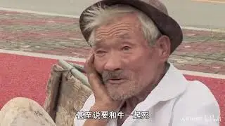 老黄牛帮80岁主人养活9个子女，到老要被卖掉时，竟落下眼泪！