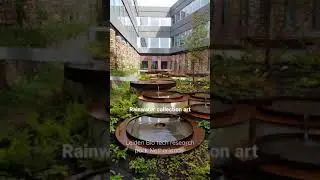 Leiden Bio tech research center | Leiden | Water art | Rainwater harvesting | shorts