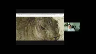 Inspire your Culture Vultures with Google Arts and Culture