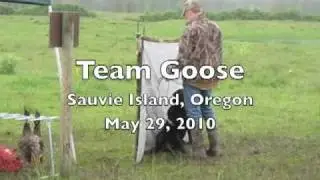 Team Goose