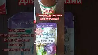 Август . Важная подкормка для гортензий!