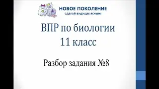 Биология. Разбор 8-го задания ВПР по биологии 11 класс