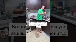 Плов: коза упала