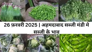 Ahmedabad wholesale vegetable market | 26 February 2025 | अहमदाबाद सब्जी मंडी मे सब्जी के भाव...
