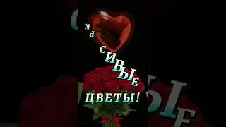 КРАСИВОЙ ЖЕНЩИНЕ  -  САМЫЕ КРАСИВЫЕ ЦВЕТЫ ! САМЫЕ НЕЖНЫЕ КОМПЛИМЕНТЫ ! ... 