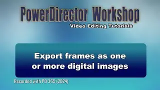 Export frames as one or more digital images