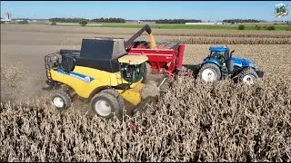 Corn Harvest 2024 near Versailles Ohio | New Holland Combine