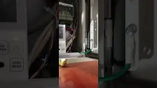 12 октября 2024 г.