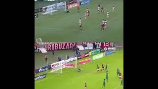 MAIS NOVOS APRENDENDO COM OS MAIS ESPERIENTES