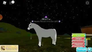 {Roblox} Farm World обзор валийской пони