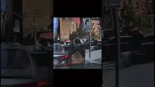 Clever🤯 I’d pay him for sure #shorts  #good #sigma #fyp #video #viral #viralvideo #gasing