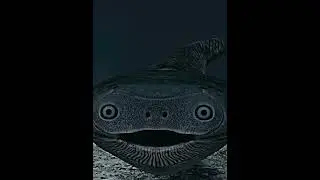 Sacabambaspis
