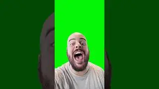 I Just Lost My Dawg | Green Screen 