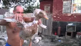 Просто смешно😂!