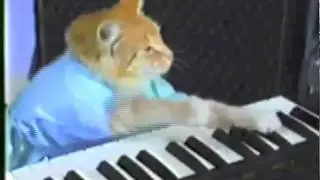 Keyboard Cat