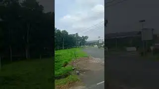 pabrik gula glenmore.pabrik gula terbesar se Asia tenggara.