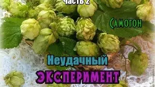 Самогон Часть 2  Бражка на шишечках хмеля.