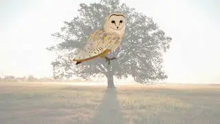 ҮКІ/ФИЛИН