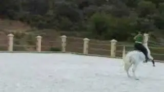 JUMPING - Out of Control Rider & Stallion