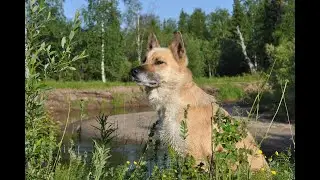 На Нерицу на рыбалку