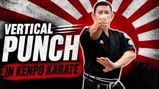 Vertical Punch in Kenpo Karate - Yellow Belt Kenpo Karate Requirements 