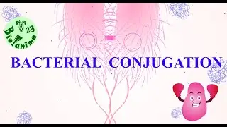 BACTERIAL CONJUGATION | HORIZONTAL GENE TRANSFER