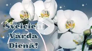 Viens Skaists Sveiciens Tev Vārda Dienā!