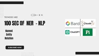 Master NER in 100 Seconds: Quick  NLP Guide