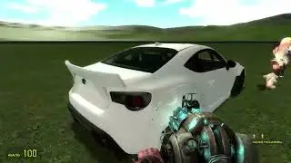 garry's mod & people playground
