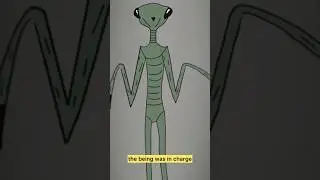 Woman Encounters Praying Mantis Alien #alienabduction #alienexperience #ufo #uap