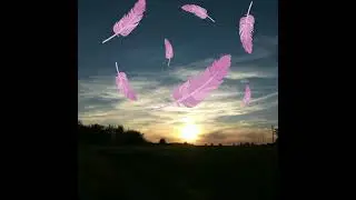 Jack$on- “Grateful” (Official Audio)