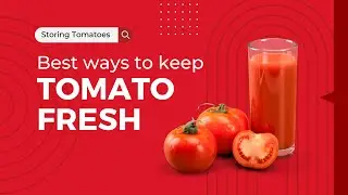 Storing Tomatoes 101: Best Ways to Keep Them Fresh