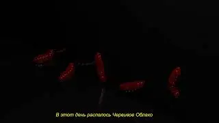 Такой день.