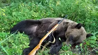 Охота на медведя на овсах
