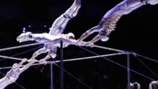 Во время шоу Запашных на манеж Цирка Чинизелли выпустят носорога.