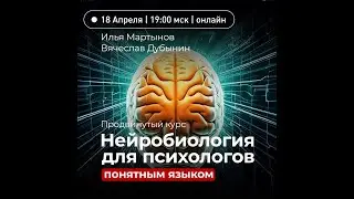 Курс нейробиологии для психологов простым языком