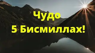 Чудо Бисмиллах 5! Исцеление от всех болезней и недугов