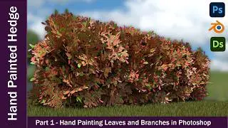 Creating a Hedge | Part 1 - Hand Painted Leaves and Branches in Photoshop