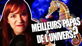 Un secret HONTEUX!