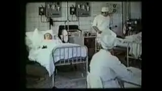 Лейкоциты