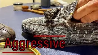 [ASMR] Aggressive 🐊 Shoe Shine “Santoni” crocodile loafers.